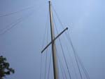 29HomewindSurvey